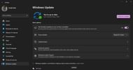 Windows automatic updates setup (Image via Sportskeeda)
